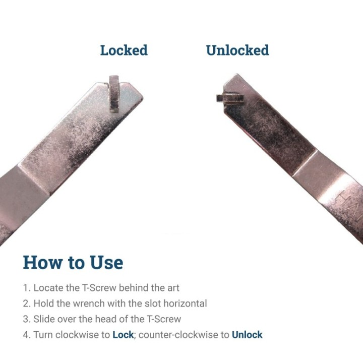 GeckoTeq Anti-Theft System Key