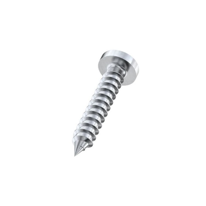 GeckoTeq Round Head Phillips Screw Stainless Steel - in 2 sizes