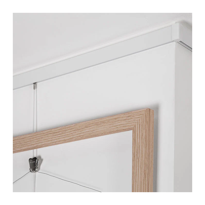 STAS Clip Rail