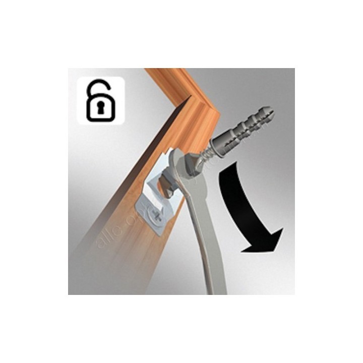GeckoTeq Anti-Theft System Key