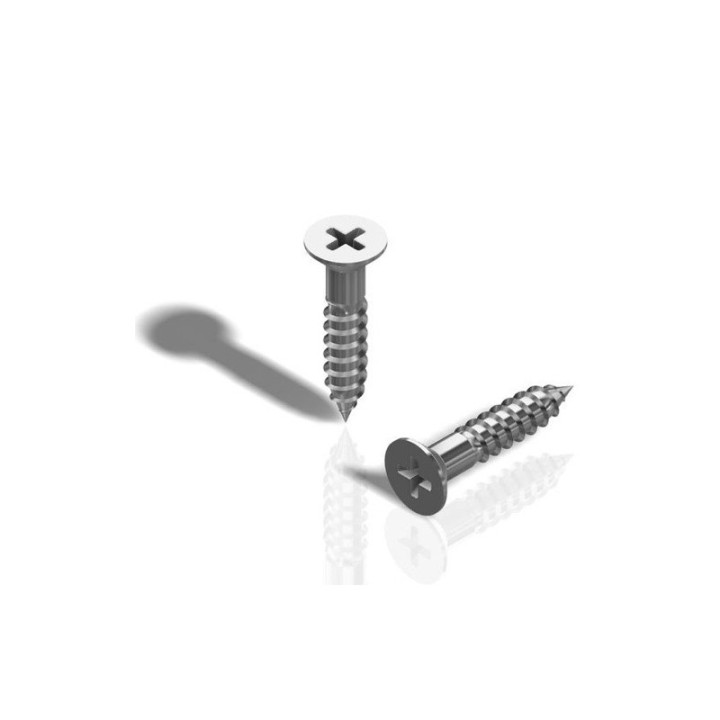 GeckoTeq Platte Kruiskopschroef - 3.0x13mm