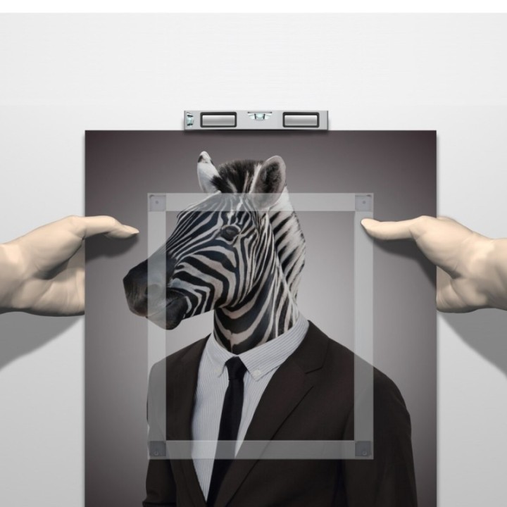 Artiteq Back Frame ophang en veiligheids schijfjes - per stuk